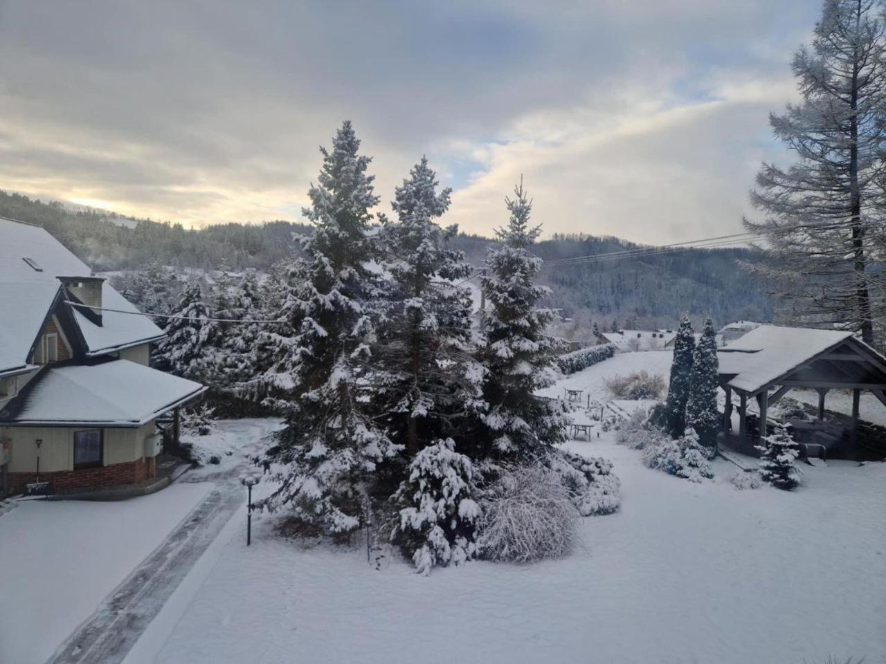 Beskid Ski Villa Wisła Exterior foto