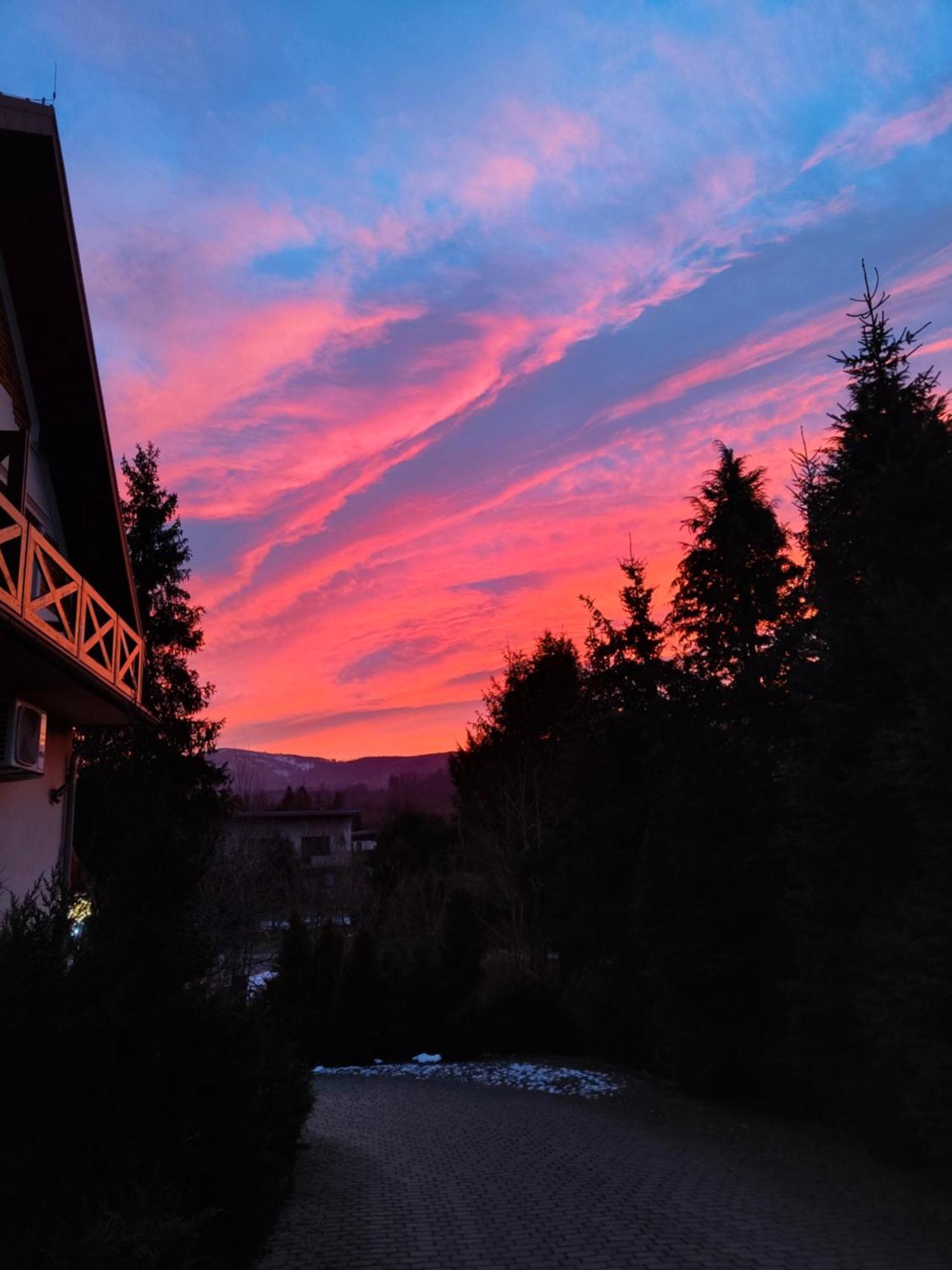 Beskid Ski Villa Wisła Exterior foto